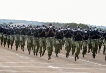 Recruitment of SPCs Kicks Off in Albertine Region