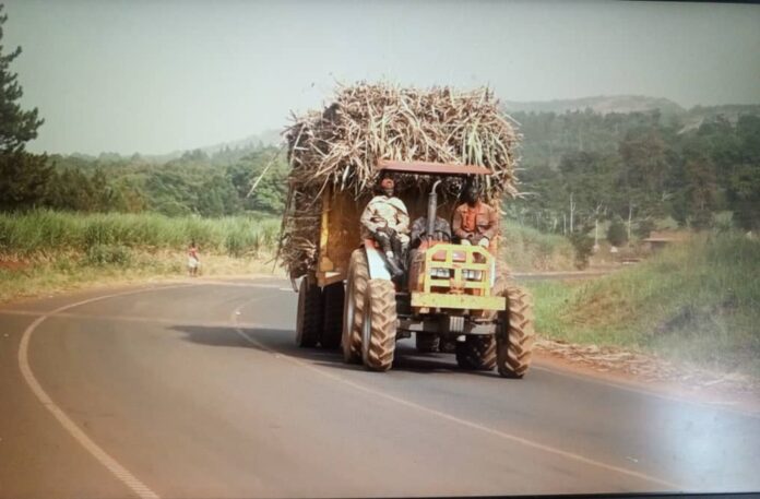 WhatsApp-Image-2025-02-25-at-11.36.03-AM